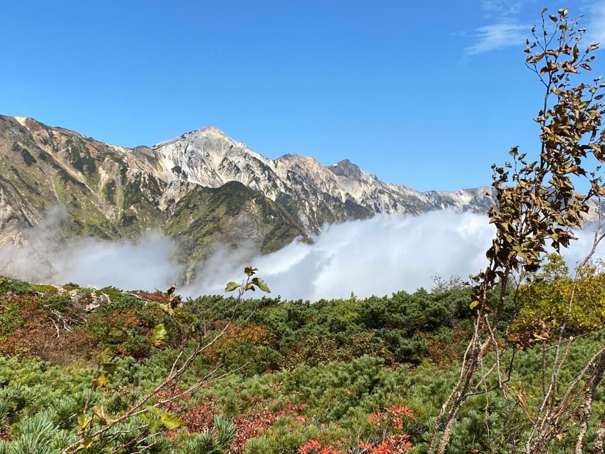 Hareruya Bed and Breakfast Hakuba Buitenkant foto